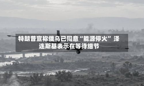特朗普宣称俄乌已同意“能源停火” 泽连斯基表示在等待细节-第1张图片