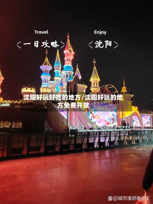 沈阳好玩好吃的地方/沈阳好玩的地方免费开放-第3张图片
