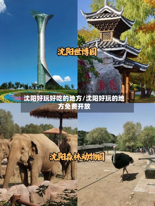 沈阳好玩好吃的地方/沈阳好玩的地方免费开放