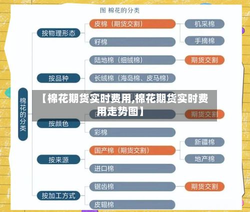 【棉花期货实时费用,棉花期货实时费用走势图】