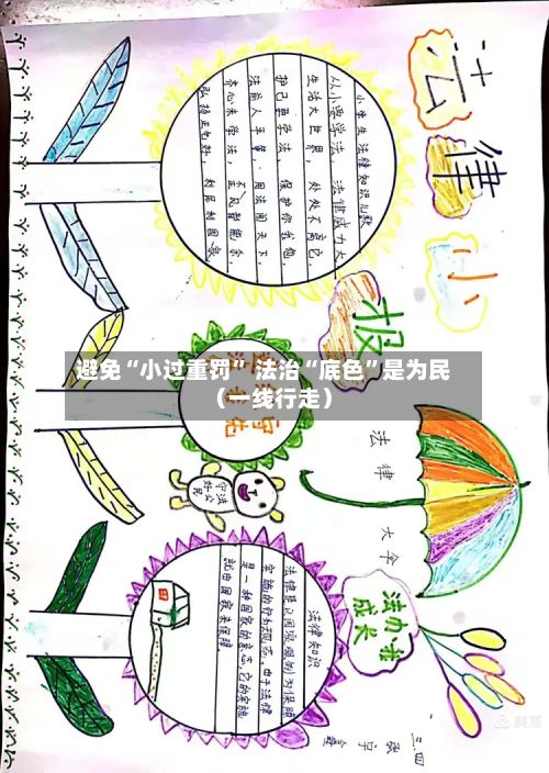 避免“小过重罚” 法治“底色	”是为民（一线行走）-第2张图片