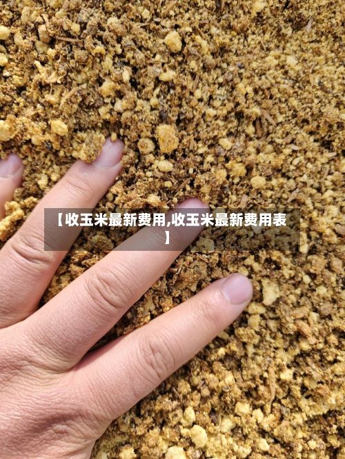 【收玉米最新费用,收玉米最新费用表】-第3张图片