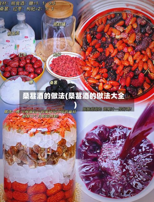 桑葚酒的做法(桑葚酒的做法大全)