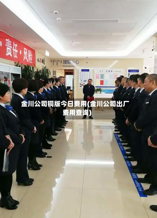 金川公司铜版今日费用(金川公司出厂费用查询)-第2张图片