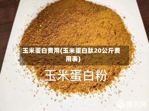 玉米蛋白费用(玉米蛋白肽20公斤费用表)