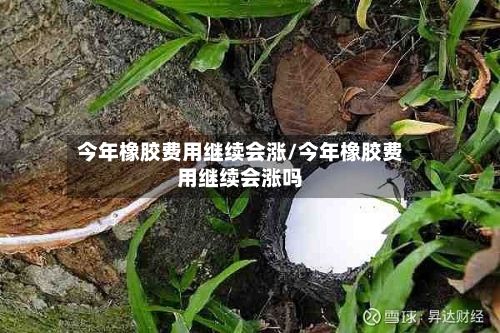今年橡胶费用继续会涨/今年橡胶费用继续会涨吗-第2张图片