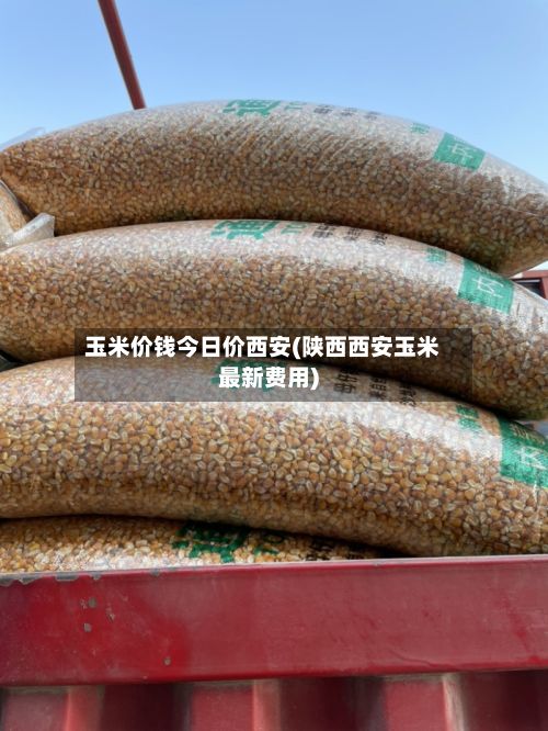 玉米价钱今日价西安(陕西西安玉米最新费用)-第2张图片