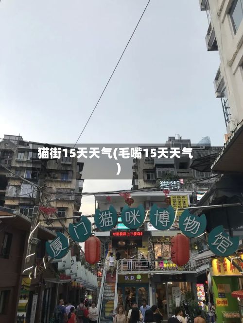 猫街15天天气(毛嘴15天天气)