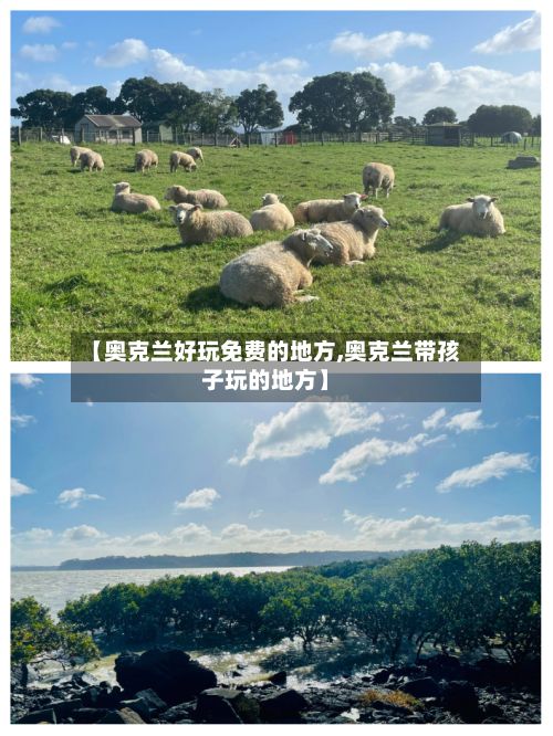 【奥克兰好玩免费的地方,奥克兰带孩子玩的地方】-第2张图片