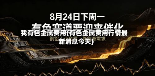 我有色金属费用(有色金属费用行情最新消息今天)