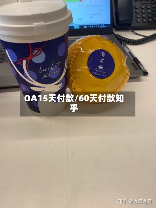 OA15天付款/60天付款知乎