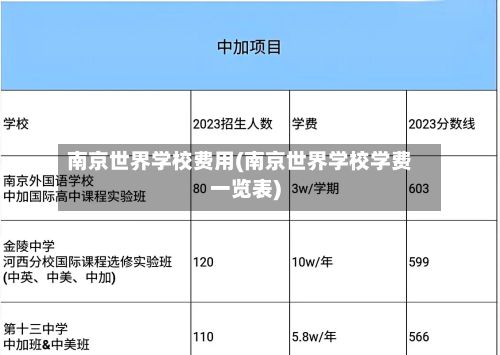 南京世界学校费用(南京世界学校学费一览表)