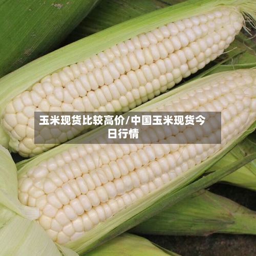玉米现货比较高价/中国玉米现货今日行情-第2张图片