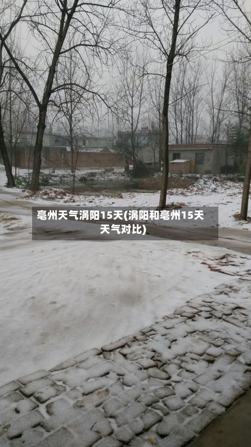 亳州天气涡阳15天(涡阳和亳州15天天气对比)-第3张图片