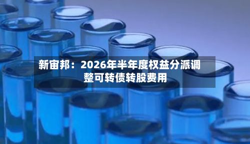新宙邦：2026年半年度权益分派调整可转债转股费用