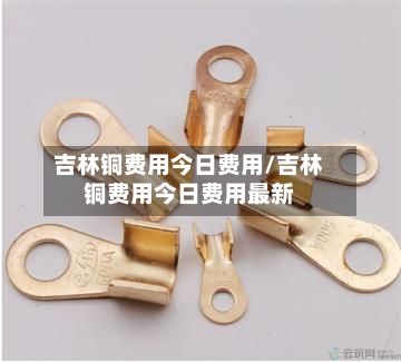 吉林铜费用今日费用/吉林铜费用今日费用最新-第2张图片
