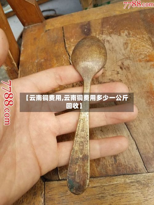【云南铜费用,云南铜费用多少一公斤回收】-第3张图片
