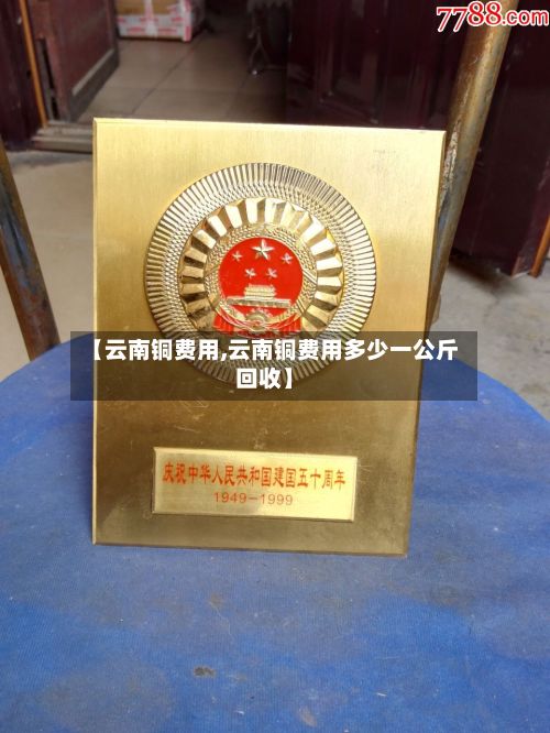 【云南铜费用,云南铜费用多少一公斤回收】-第2张图片
