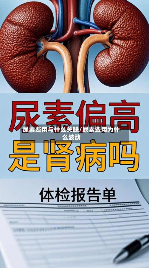 尿素费用与什么关联/尿素费用为什么波动