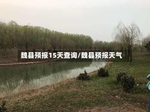 魏县预报15天查询/魏县预报天气