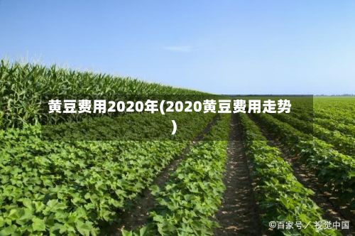 黄豆费用2020年(2020黄豆费用走势)