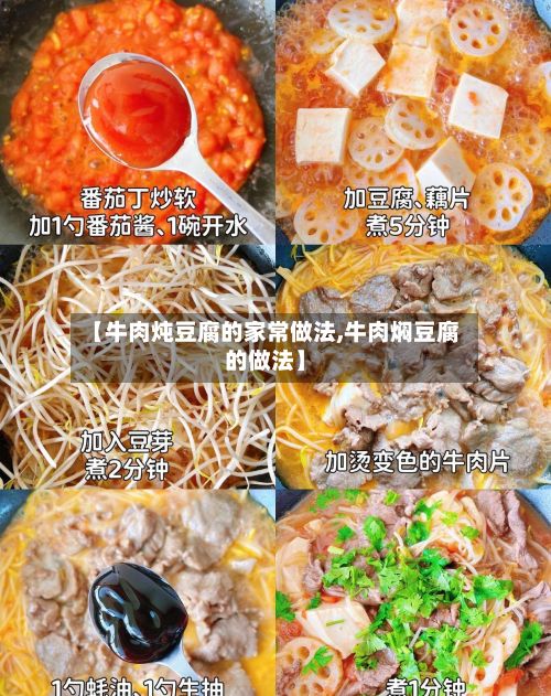 【牛肉炖豆腐的家常做法,牛肉焖豆腐的做法】-第2张图片