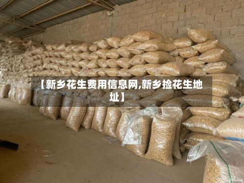 【新乡花生费用信息网,新乡捡花生地址】-第2张图片