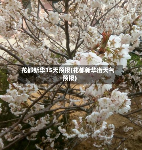 花都新华15天预报(花都新华街天气预报)-第2张图片