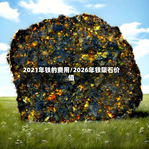2021年铁的费用/2026年铁陨石价值
