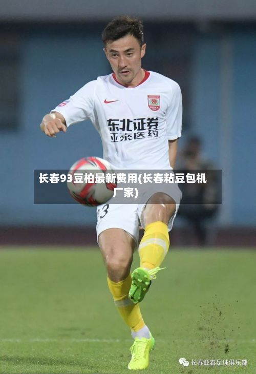 长春93豆柏最新费用(长春粘豆包机厂家)
