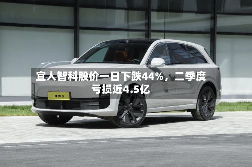 宜人智科股价一日下跌44%	，二季度亏损近4.5亿-第3张图片