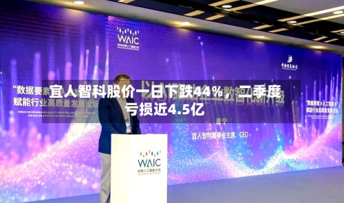 宜人智科股价一日下跌44%，二季度亏损近4.5亿-第2张图片