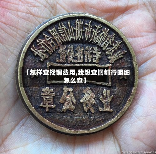 【怎样查找铜费用,我想查铜都行明细怎么查】-第2张图片