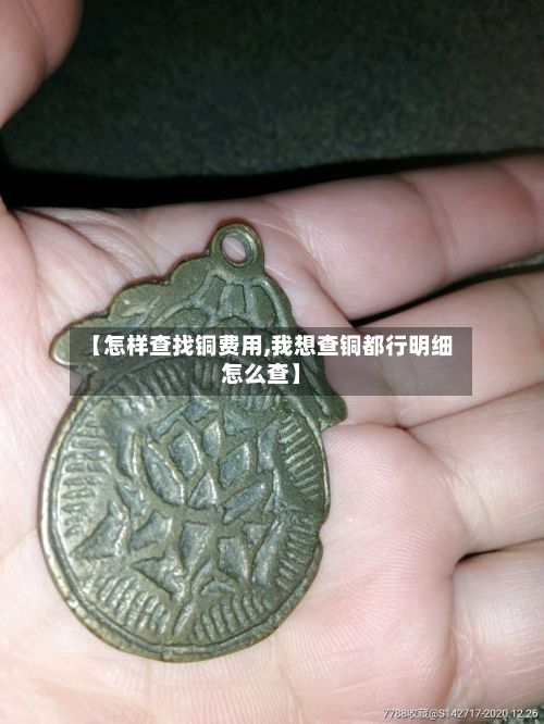 【怎样查找铜费用,我想查铜都行明细怎么查】-第3张图片