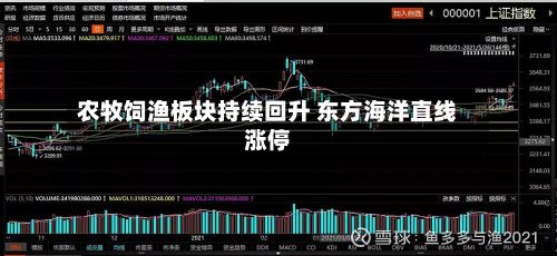 农牧饲渔板块持续回升 东方海洋直线涨停-第1张图片
