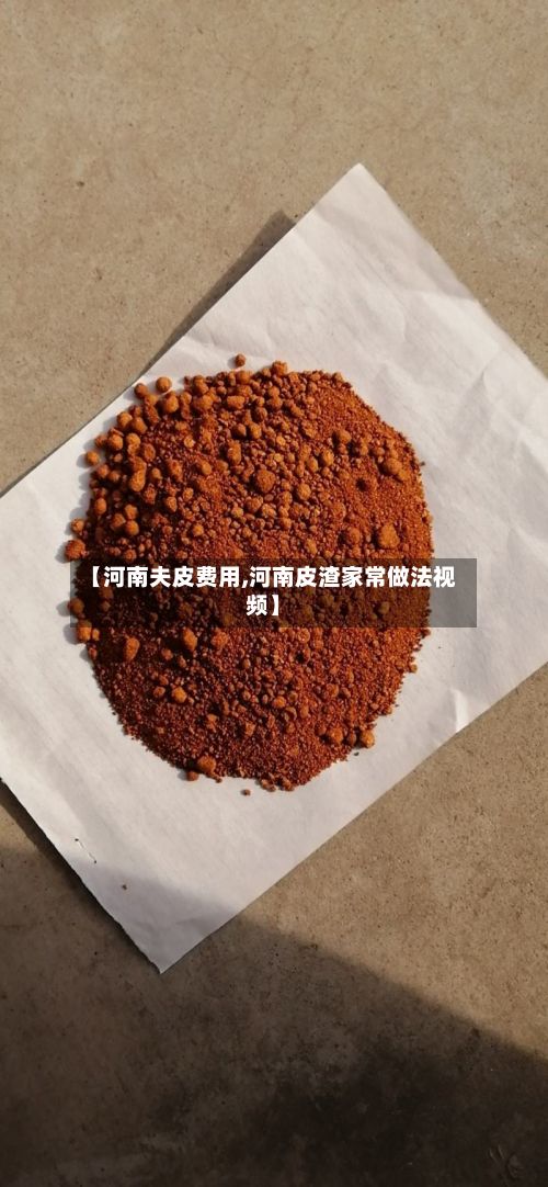【河南夫皮费用,河南皮渣家常做法视频】