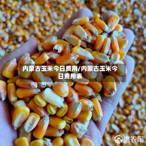 内蒙古玉米今日费用/内蒙古玉米今日费用表-第3张图片