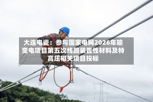 大连电瓷：参与国家电网2026年输变电项目第五次线路装置性材料及特高压相关项目投标-第2张图片