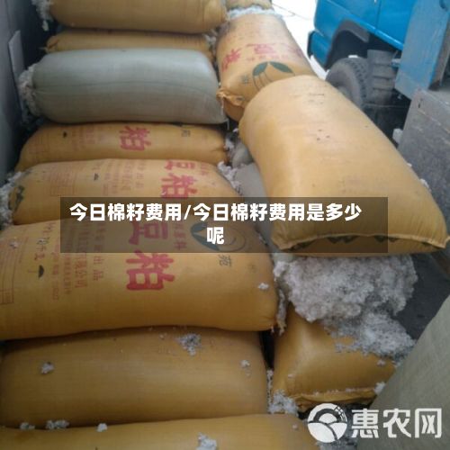 今日棉籽费用/今日棉籽费用是多少呢