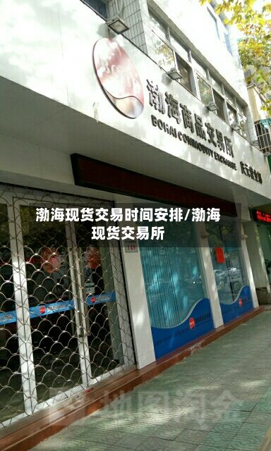 渤海现货交易时间安排/渤海现货交易所-第2张图片
