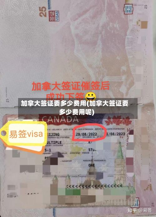 加拿大签证要多少费用(加拿大签证要多少费用呢)