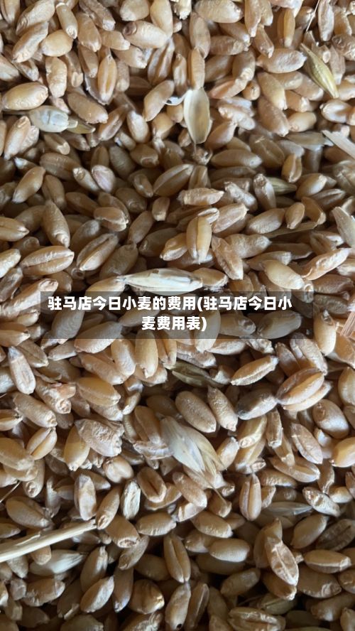 驻马店今日小麦的费用(驻马店今日小麦费用表)-第2张图片