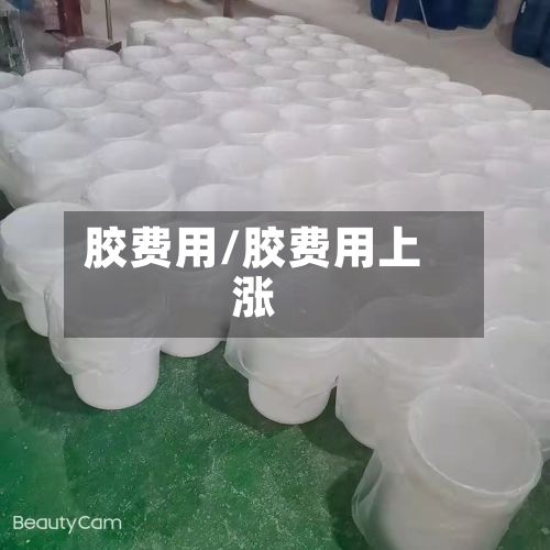 胶费用/胶费用上涨-第3张图片