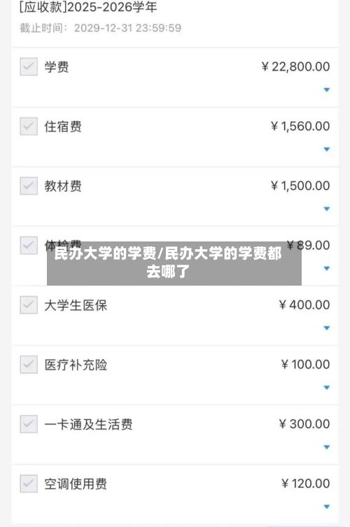 民办大学的学费/民办大学的学费都去哪了-第2张图片