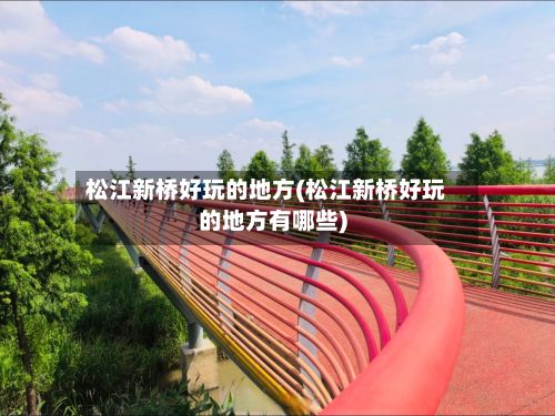 松江新桥好玩的地方(松江新桥好玩的地方有哪些)-第2张图片