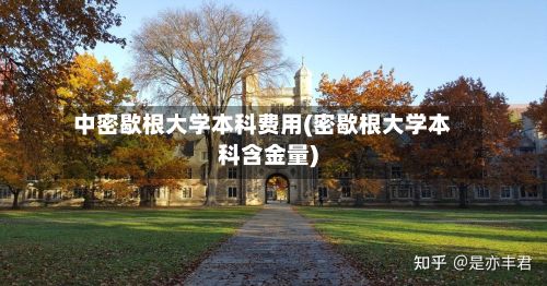 中密歇根大学本科费用(密歇根大学本科含金量)-第3张图片