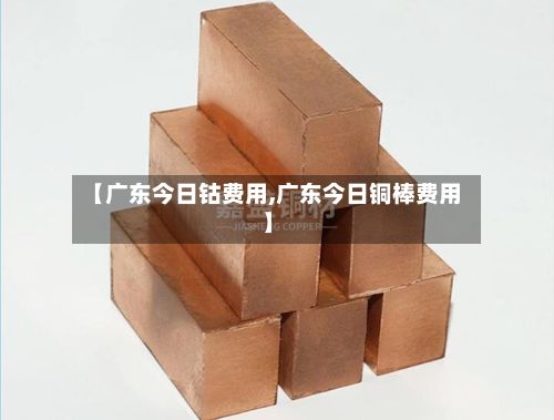 【广东今日钴费用,广东今日铜棒费用】-第3张图片