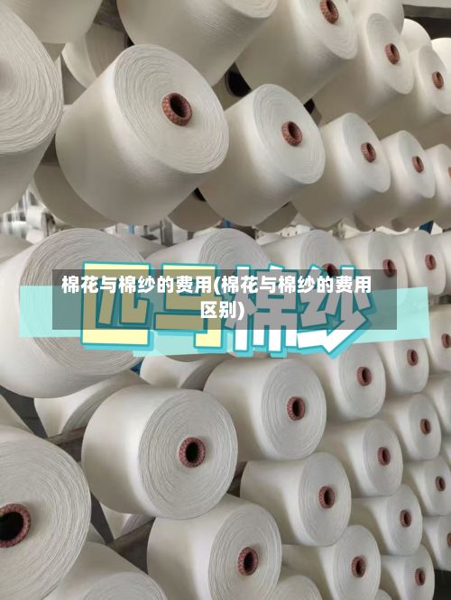 棉花与棉纱的费用(棉花与棉纱的费用区别)-第2张图片
