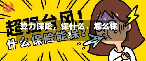 算力保险	，保什么	、怎么保？-第2张图片