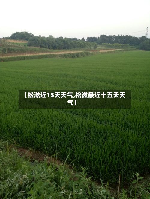 【松滋近15天天气,松滋最近十五天天气】